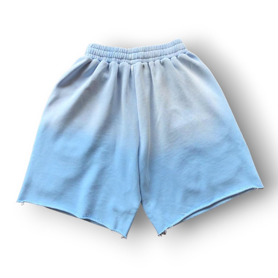 SPDER ''S5 BLUE'' SHORTS