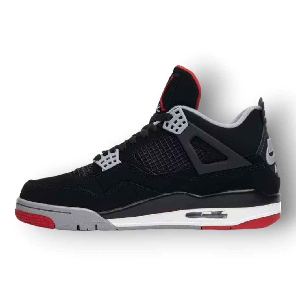 JORD RETRO 4 ''DRED''